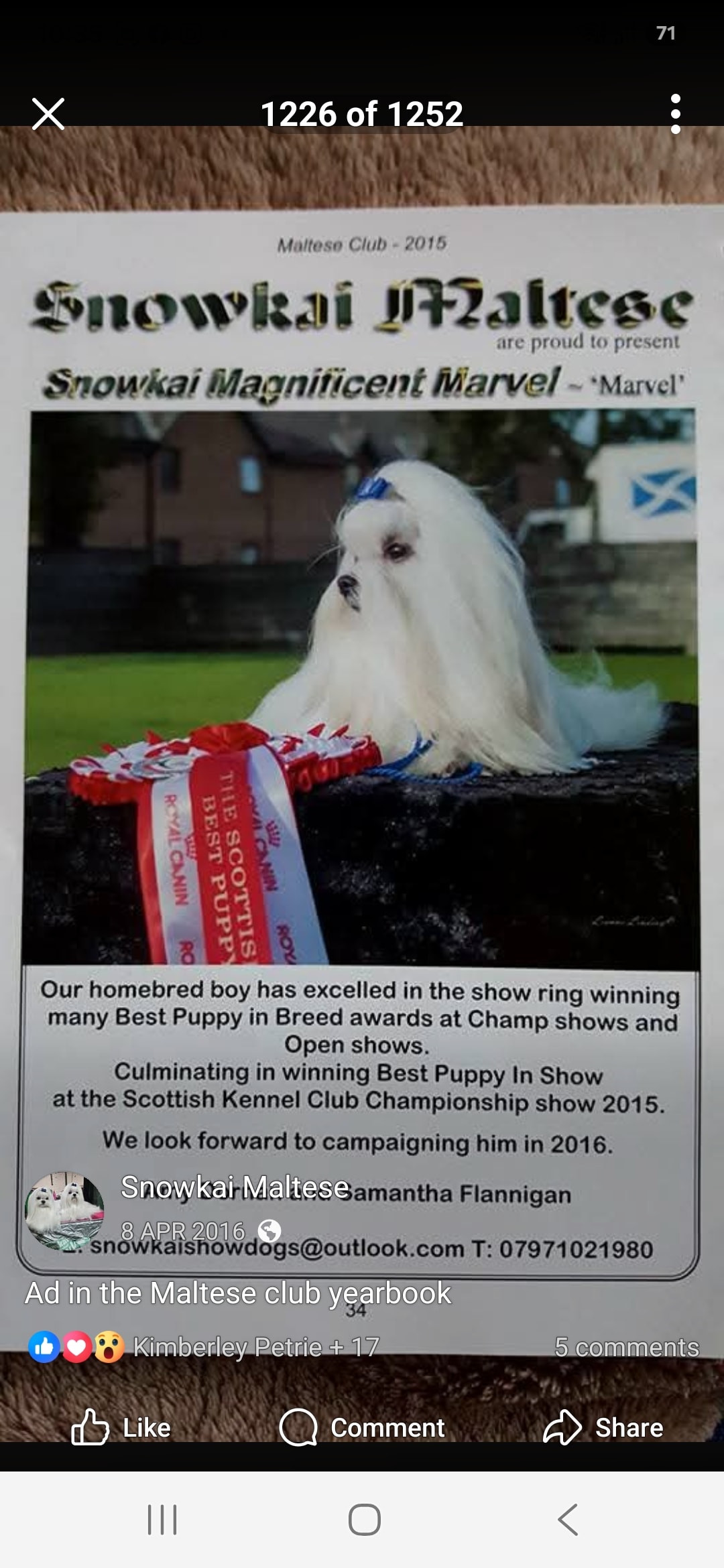 Marvel — Best Puppy in Show, Scottish Kennel Club